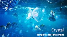  Presentation with under water - Beautiful theme featuring fish-under-water backdrop and a teal colored foreground