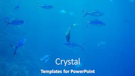  Presentation with under water - Presentation design consisting of fish under water background and a gray colored foreground