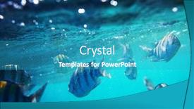  Presentation with under water - PPT theme with fish under water background and a teal colored foreground