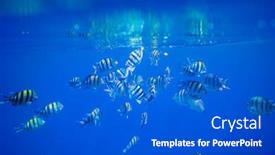  Presentation with under water - Theme with fish under water background and a dark gray colored foreground