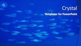 Presentation with under water - Audience pleasing slides consisting of fish under water backdrop and a dark gray colored foreground