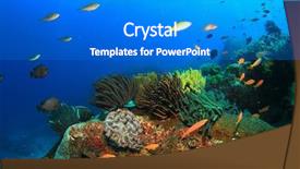  Presentation with fish ocean - Beautiful slides featuring coral and fish underwater in ocean backdrop and a cobalt blue colored foreground