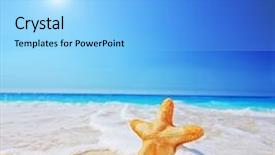  Presentation with fish beach - Audience pleasing presentation theme consisting of fish water - view of a starfish backdrop and a light blue colored foreground