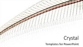  Presentation with catfish - Amazing slides having fishbone - close-up of a ghost catfish's backdrop and a white colored foreground