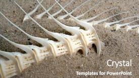  Presentation with bone fish - Cool new slides with fishbone - sea fish white bone close-up backdrop and a coral colored foreground