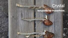  Presentation with fish grill there are fish - Slides with fishbones left after eating grilled background and a gray colored foreground