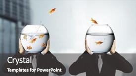  Presentation with holding on to a dream in a changing world - Colorful PPT layouts enhanced with fishbowls - man holding goldfish backdrop and a  colored foreground
