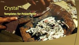  Presentation with fisherman - Cool new theme with fisherman-cuts-the-bait-squid backdrop and a tawny brown colored foreground