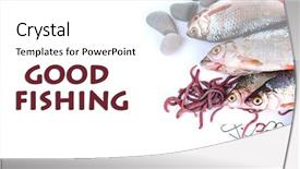  Presentation with fishes - Cool new slide deck with fishes and worms isolated backdrop and a white colored foreground