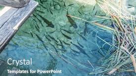  Presentation with heritage - Colorful presentation theme enhanced with fishes-in-the-lake-plitvice backdrop and a teal colored foreground