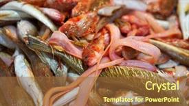  Presentation with fish netting pollution - Slides with fishes mix for fumet fish background and a tawny brown colored foreground