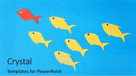  Presentation with fishes - Audience pleasing slides consisting of fishes swim in group leadership backdrop and a cyan colored foreground