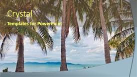  Presentation with beach - Slides consisting of fisheye view on beach with palms under gloomy sky background and a tawny brown colored foreground