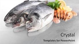  Presentation with top view of fresh fish - Amazing slide set having fishfry - fresh fishes and shrimps backdrop and a  colored foreground