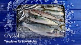  Presentation with fishes - Colorful PPT layouts enhanced with fishfry - fresh fishes mix hake seabass backdrop and a navy blue colored foreground