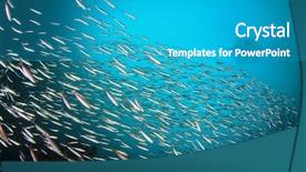  Presentation with fish ocean - PPT theme with fishfry - sardines fish in ocean background and a teal colored foreground