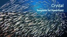  Presentation with sardines - PPT theme having fishfry - sardines fish underwater background and a ocean colored foreground