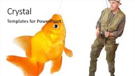  Presentation with goldfish - Slides featuring man fishing - fisherman with big fish background and a white colored foreground