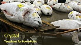  Presentation with tokyo - Colorful theme enhanced with japanese fishing - frozen tuna at tokyo's tsukiji backdrop and a  colored foreground