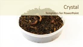  Presentation with fishing - Beautiful PPT theme featuring anellida - fishing bait -worms backdrop and a cream colored foreground