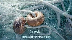  Presentation with sea fishing - Theme featuring fishing boat equipment detail net background and a ocean colored foreground