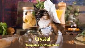  Presentation with top view of fresh fish - Theme with fishing cat - kitten and fresh fish background and a tawny brown colored foreground