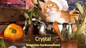  Presentation with cook chef - Amazing presentation theme having fishing cat - kitten in the kitchen chef backdrop and a tawny brown colored foreground