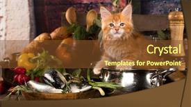  Presentation with solid mensuration - Audience pleasing PPT theme consisting of fishing cat - red solid maine coon kitten backdrop and a tawny brown colored foreground