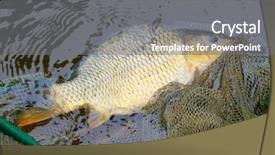  Presentation with christmas dinner - Amazing theme having fishing catch the common carp backdrop and a  colored foreground