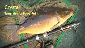  Presentation with christmas dinner - Amazing slide set having  backdrop and a  colored foreground