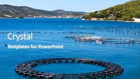  Presentation with sea - PPT theme with fishing fish - adriatic sea business background and a teal colored foreground