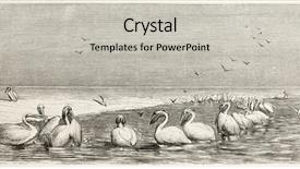  Presentation with fishing - PPT theme enhanced with fishing in volga shallow create background and a  colored foreground