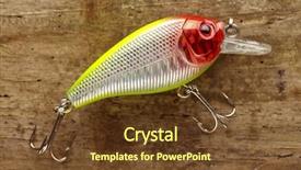  Presentation with fishing - Slide set featuring fishing lure background and a tawny brown colored foreground