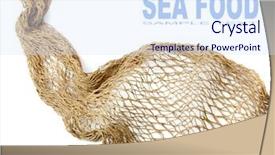  Presentation with fishing net - Cool new PPT layouts with fishing net and easy removable backdrop and a sky blue colored foreground