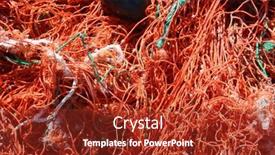  Presentation with fishing gear - PPT theme consisting of fishing-net-backgrounds-and-textures background and a tawny brown colored foreground