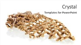  Presentation with fishing net - Colorful PPT theme enhanced with fishing net isolated over white backdrop and a white colored foreground