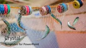  Presentation with fishing net - PPT layouts featuring fishing net with fish on natural background background and a light gray colored foreground