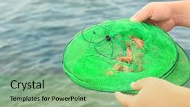  Presentation with fishing net - PPT layouts enhanced with fishing net with fresh shrimp background and a seafoam green colored foreground
