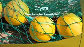  Presentation with port security - Cool new slide deck with puppy and a kittens sleeping together backdrop and a light gray colored foreground