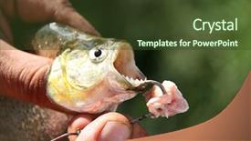  Presentation with fishing - Beautiful presentation theme featuring fishing piranhas backdrop and a tawny brown colored foreground