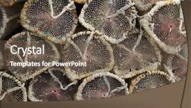  Presentation with fishing - Beautiful presentation featuring fishing-pots backdrop and a tawny brown colored foreground