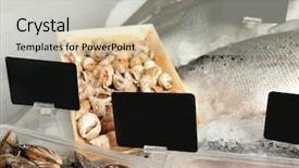  Presentation with seafood - Slide deck consisting of fishy - fresh fish and other seafood background and a light gray colored foreground