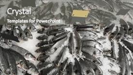  Presentation with top view of fresh fish - PPT theme enhanced with fishy - fresh fish in supermarket background and a  colored foreground