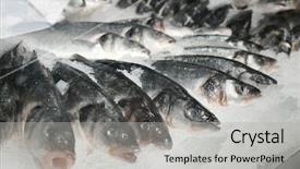  Presentation with supermarket - Theme featuring fishy - fresh fish in supermarket background and a light gray colored foreground