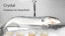  Presentation with top view of fresh fish - Slide deck featuring fishy - fresh fish in supermarket background and a light gray colored foreground