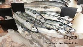  Presentation with supermarket - Amazing PPT theme having fishy - fresh fish in supermarket backdrop and a coral colored foreground