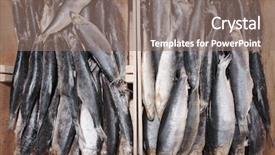  Presentation with frozen fish - Amazing slide deck having fishy - frozen fish in supermarket backdrop and a  colored foreground