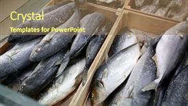  Presentation with frozen fish - Slide set featuring fishy - frozen fish in supermarket background and a  colored foreground