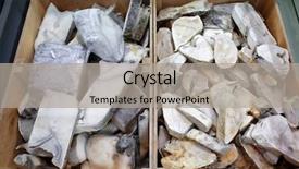  Presentation with frozen fish - Slides enhanced with fishy - frozen fish in supermarket background and a light gray colored foreground