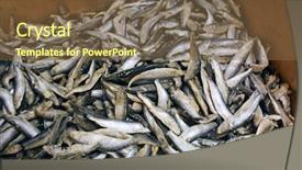  Presentation with frozen fish - PPT layouts having fishy - frozen fish in supermarket background and a  colored foreground
